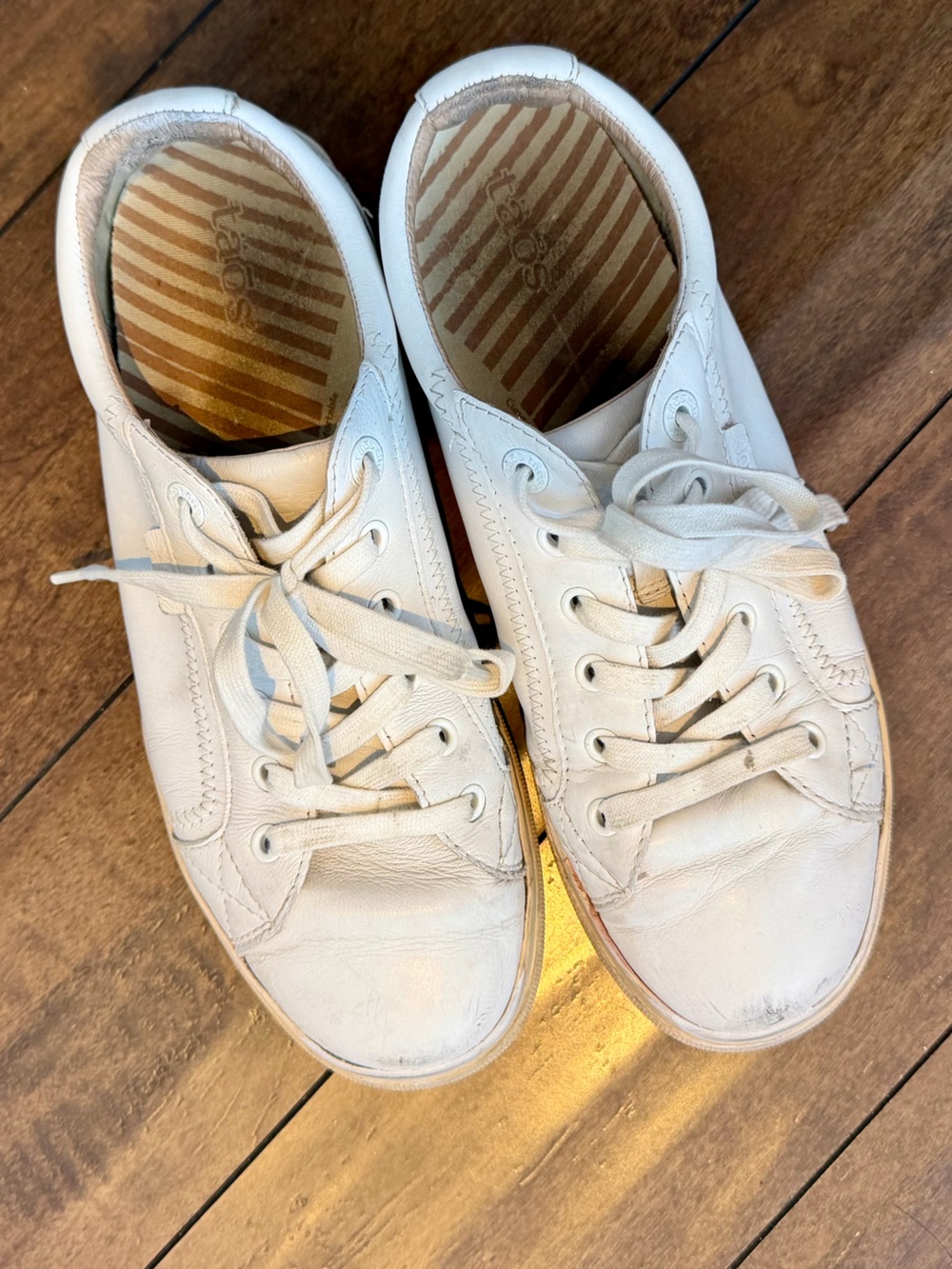 Taos white leather sneakers 10